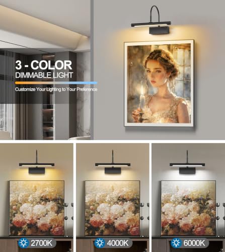 Image of LED Wireless Picture Light with Remote Control,USB Rechargeable Battery Powered Art Lamps,Dimmable,270 Rotate,Timing,12 Inch Black Wall Lights for Paintings (Black, 12inch)