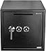 Genie Hand – Dual Lock Safe Box (Depository)