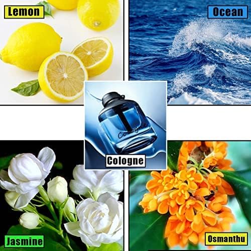 Image of 20 Pack Car Air Vent Clip Freshener Refills Solid Fragrance Replacement Pads, Long Lasting Air Freshener for Car accessories for Women Men (Lemon)
