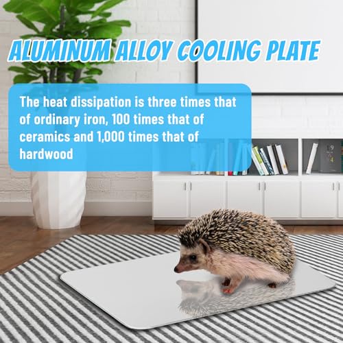 SilverChry Kühlplatte Aluminiumlegierung, 30*20cm Kühlmatte für Haustiere, Pet Cooling Mat, Sommer-Eisbett zum Kühlen Haustieren, zum Kühlen Meerschweinchen, Hamstern, Kaninchen und Anderen Haustieren