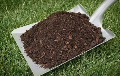 Plants Cure Cow Dung Manure 5 Kg