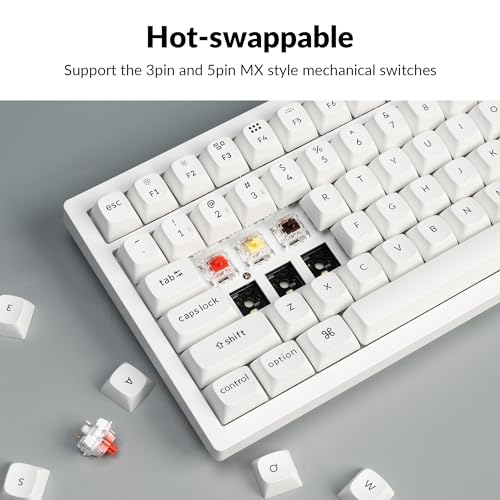 Image of Keychron K4 Pro QMK /VIA Bluetooth Wireless Mechanical Keyboard, 96% Layout Custom Programmable Gaming Keyboard with White Backlit, Hot-Swappable K Pro Red Switch for Mac Windows Linux - White