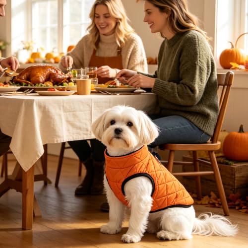 Image of SCENEREAL Halloween Thanksgiving Dog Coat with Built-in Harness