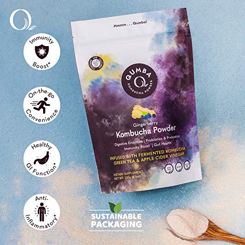 Qumba Kombucha Prebiotic And Probiotic Powder Supplement - Digestive Enzymes, Gut Health, Live Starter Culture, Ready-To-Mix, Green Tea & Apple Cider Vinegar, Gingerberry Flavor - 20 Servings #TOP3