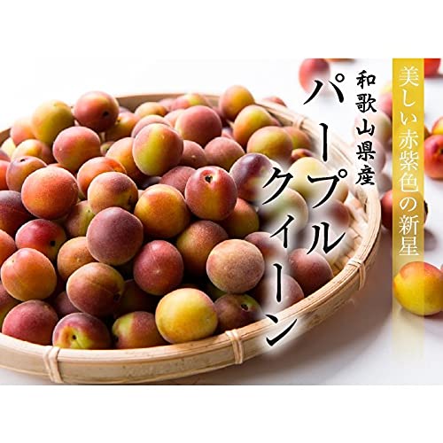 和歌山小梅紫パープル5kg