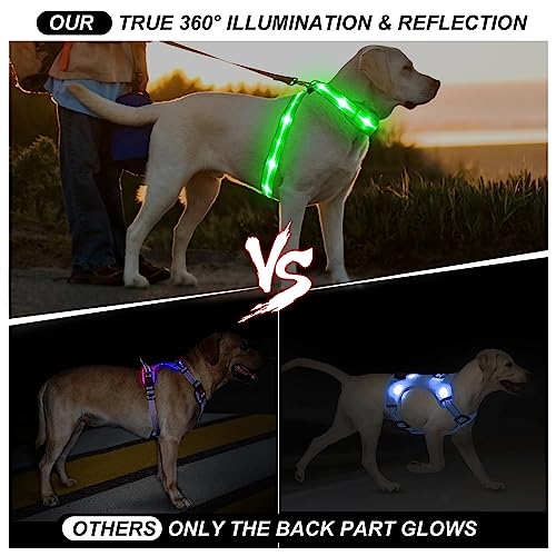 PZRLit LED Hundegeschirr Leuchtend für Hunde, Leuchtgeschirr Hundeweste Wiederaufladbar, Weich Gepolstert, Verstellbar und Reflektierend, Beleuchtetes Hundegeschirr (Grün, Mittel)