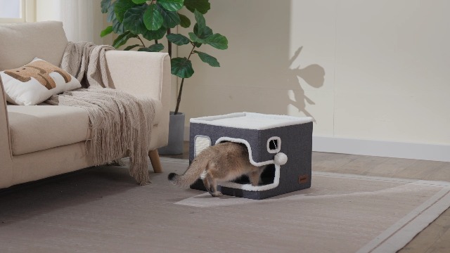 Amazon.com : ZOMISIA Cat Beds for Indoor Cats - Large Cat House