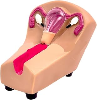 Female IUD Training Model, Intrauterine Contraceptive Device Simulator For Medical & Nursing Education