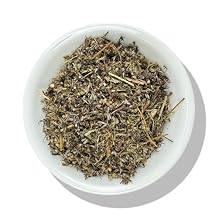 Evergreen Herbs Mugwort Herb, Estafiate Mugwort 8 oz.Mexican Mugwort, cronewort - Resealable Stand Up Pouch to Ensure Freshness!