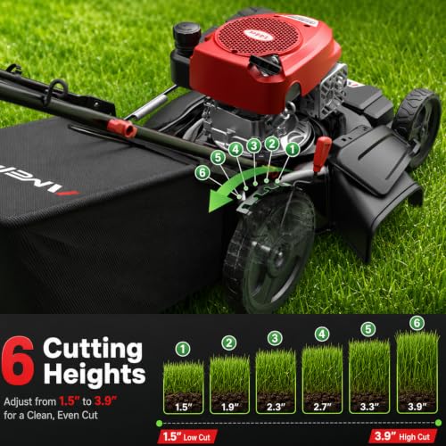 Image of AMERISUN 21-Inch Gas Push Lawn Mower, 144cc 4-Stroke Engine, 6-Position Adjustable Cutting Height, 3-in-1 Mulching, Side Discharge & Rear Bag for Garden Landscaping