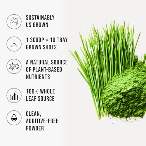 Wheatgrass Powder 100% Pure Whole-Leaf Wheatgrass Powder, Nutrient-Rich Green Wheat Grass Superfood Premium for Smoothies Juices & Wellness Support, Gluten Free Vegan Non-GMO 510g - Thumbnail 3