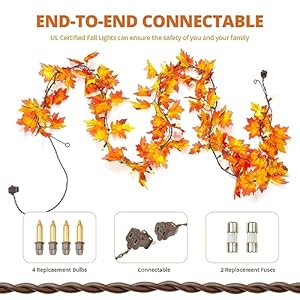 Fall Decorations for Home 9FT Plug in Thanksgiving Lights Lighted Fall Garland 50 Bulbs Maple Leaves Lights, Connectable Fall Lights for Indoor Outdoor Halloween, Thanksgiving, Holidays Decor(2 Pack) Fall Decorations for Home 9FT Plug in Thanksgiving Lights Lighted Fall Garland 50 Bulbs Maple Leaves Lights Connectable Fall Lights for Indoor Outdoor Halloween Thanksgiving Holidays Decor2 Pack