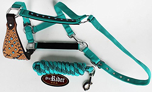 ProRider Horse Noseband Tack Bronc Leather Nylon Halter Tiedown Lead Turquoise 280653