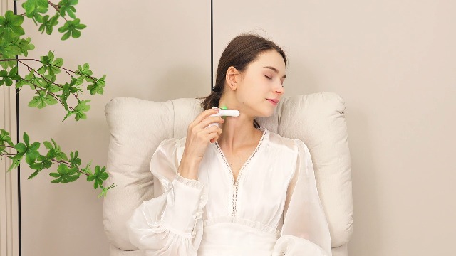 Amazon.com: Portable Facial Massager, Multifunctional Facial