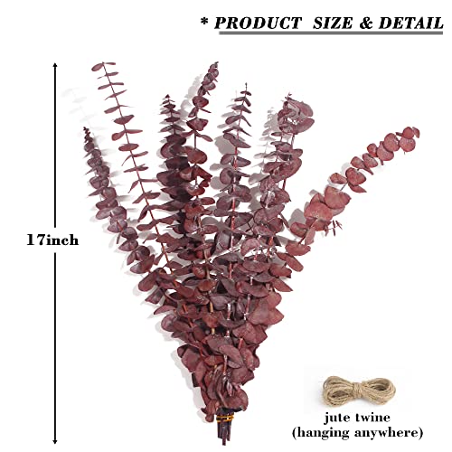 Flokay Dried Eucalyptus Bundle Fresh Eucalyptus Branches -12 Pcs / 17 In Real Natural Preserved Eucalyptus Stems For Home Decor Flower Arrangement Wedding Party - Red #TOP1