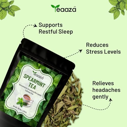 Image of TEAAZA Organic Spearmint Tea Leaves 100 Gm 100 Cups Caffeine-Free Herbal Spearmint Tea For PCOS|SUPPORTS HORMONE BALANCE,ACNE,FACIAL HAIR & PCOS RELIEF|Fresh Minty Flavor,100% Natural