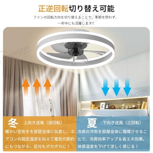 TAGIYOON シーリングファンライト YT06 の商品画像 1