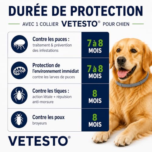 Vetesto Collier Anti-Puces Anti-Tiques pour Grands Chiens +8 kg – 70 cm – Protection Longue Durée jusqu'à 8 Mois – Efficace Contre Les Puces et Les Tiques pour Garder Votre Chien protégé au Quotidien – vue 6