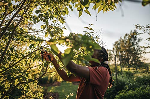 Fiskars Bypass-Gartenschere M, Solid, P321, Für frische Äste und Zweige, Antihaftbeschichtet, Edelstahl-Klingen, Länge: 20,1 cm… – Ansicht 3