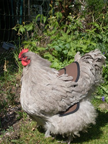 Protective Poultry Saddle with side guards Extra Large in Brown