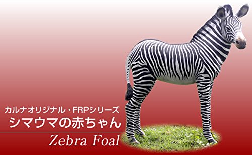 Amazon | FRPアニマルオブジェ シマウマの赤ちゃん 置物 動物 縞馬