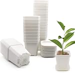 30 Pcs 3" Plantes pots de chambre de bébé, pots épais de plantation de fleurs carrées en plastique, pot de semis de plantes, 30 Pots de démarrage de semences avec 30 Saucers -Blanc 3 pots de semis de plantes de pouce 30 Pots de plantation de démarrage de semences