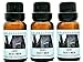 Very Sexy Men 3 Bottles 1/2 Fl Oz Each (15ml) Premium Grade Scented Fragrance Oil By Crazy Candles (Tangerine, Pink Lime, Bergamot Leaves, Limewood, Cinammon Bark, Sage, Vetiver, and Orange)