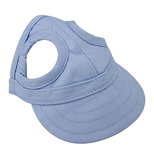 Tnfeeon Gorra de béisbol para Mascotas, Gorra para Perros al Aire Libre con Orificios para los oídos Raya Ajustable Sombrero de Verano para Padres e Hijos(S-Azul)