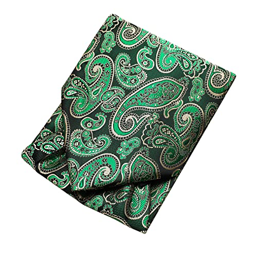 Image of Dubulle Paisley Floral Ascot for Men Self Tie Mens Cravat and Pocket Square Cufflinks Wedding