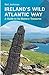 Ireland's Wild Atlantic Way: A Guide to its Historic Treasures