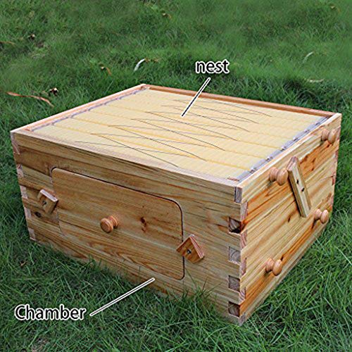 QNMM Self-flowing Bee Box Palace Auto Flow Beehive 7pcs Flow Frame Super Box Free Flow Frame Boiled Wax Fir