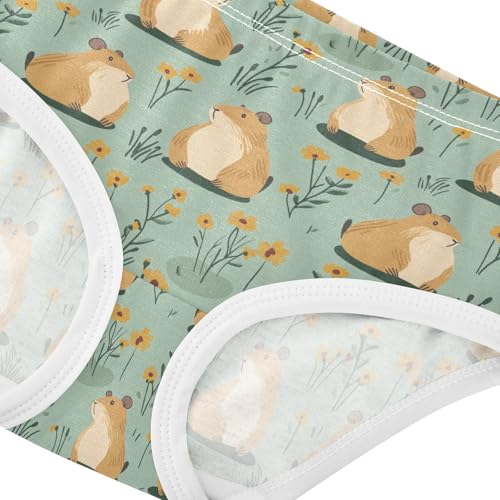 Girls Underwear Soft Cotton Capybaras Kids Panties in Sizes 2/3t, 4t, 5t, 6 and 84