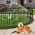 Decorative Garden Fence, 10 Panels No Dig Fence, 32 in(H) x 24.16 ft(L) Animal Barrier for Dogs Rabbits, Rustproof Metal Arched Decorative Garden Fences for Flower Bed, Outdoor, Yard, Patio