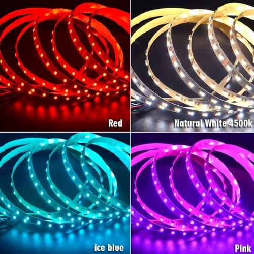 Tira LED RGB+CCT 16.4 pies 24V Super Brillante 300 LEDs miniatura 6