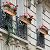 Geetery 6 Pack Window Railing Planter 30 Inch Deck Black Metal Hanging Flower Planter Basket Window Boxes Railing Planter Basket with Coconut Liner for Patio Fence Porch Balcony
