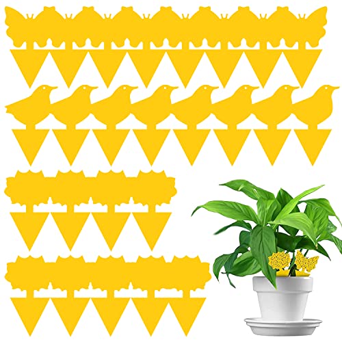 Pièges à Insectes,Attrape Mouche,25 Pièges Engluées Autocollants Colle Double-Face Étanche Jaunes-Protection des plantes contre les pucerons,les mineuses,les thrips,les mouches blanches et la vermine Cover