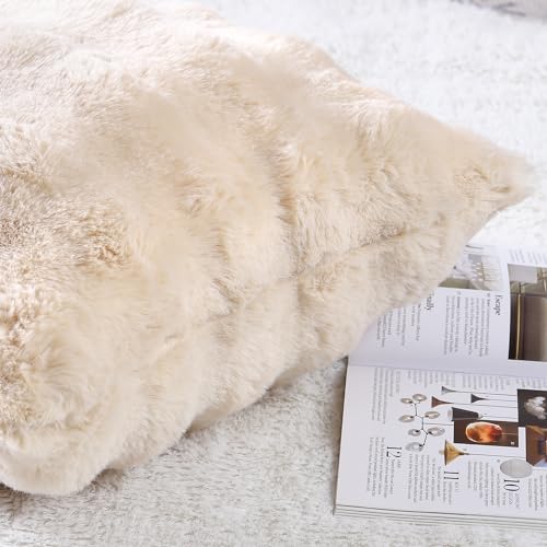2-Pack Thick Plush Wool Throw Pillow Covers for Sofa Bedroom (18x18 Inch, Beige)