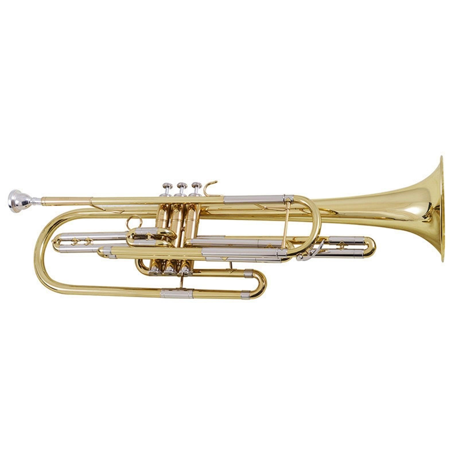 Adult Trumpet Trompette en si bémol pour débutant