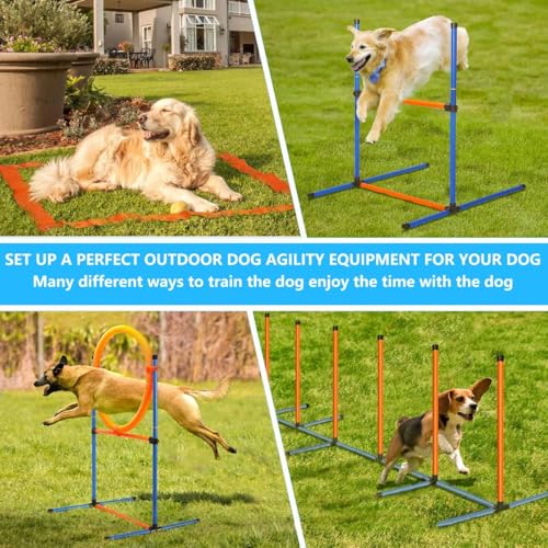 Kit de démarrage pour parcours d'obstacles pour chiens complet