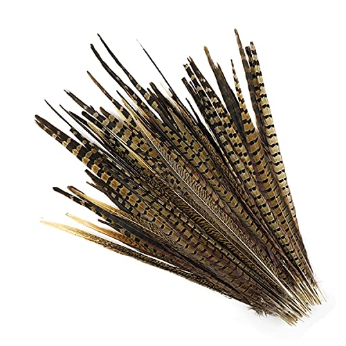 50 Pcs English Ringneck Pheasant Tails 16-18