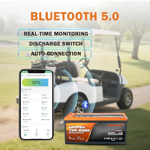 Enjoybot 72V 65Ah Lithium Battery