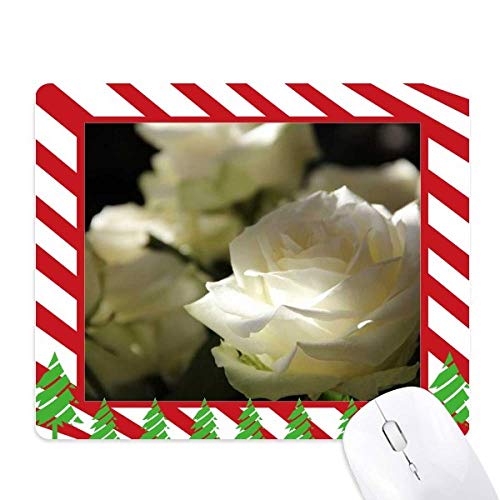 Tapis de souris rose blanche sombre grand format décor canne de Noël