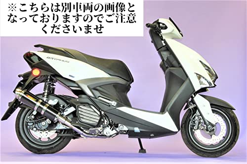 w*7様 マジェスティ125用RealizeステンレスExistマフラー約4ヶ月 Amazon | Realize マジェスティ125 バイクマフラー 5CA キャブ車