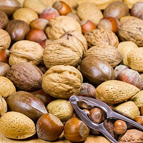 Zinc alloy Seafood Tools Nut Crackers Walnut Cracker Lobster Crab Walnut Opener Tool for Hazelnuts/Pecans/Peanuts