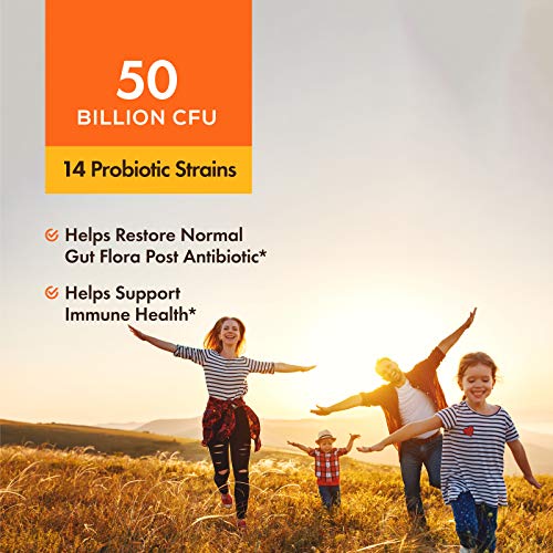 Dr. Synbio Antibiotic Support Probiotics & Organic Prebiotics – Triphala & Chicory, 50 Billion Cfu & 14 Multiple Strains, Helps Restore Normal Gut Flora & Support Immune Function, Delayed (Pack Of 2) #TOP2