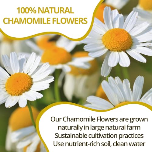 Image of VIDA FARM 125 Chamomile Tea Bags, Natural Chamomile Flowers Tea Bags, Dried Herbal Flowers, Sugar Free, Caffeine Free, Gluten Free
