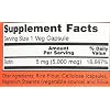 NOW Biotin 5,000 mcg - 120 VCaps (Pack of 2 Bottles)