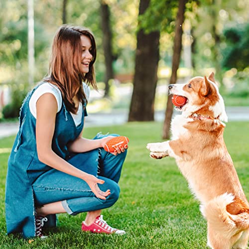 Nobleza Hundeball, Hundespielzeug Ball aus Naturkautschuk mit Zahnpflege-Funktion, Interaktives Kauspielzeug, Robuster Hunde Ball 10.3cm * 5.6cm