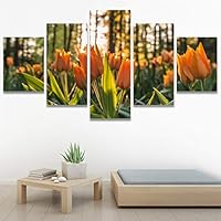 SIGNWIN 5 Panel Canvas Wall Art Modern Art for Home Decorations Ready to Hang - 60