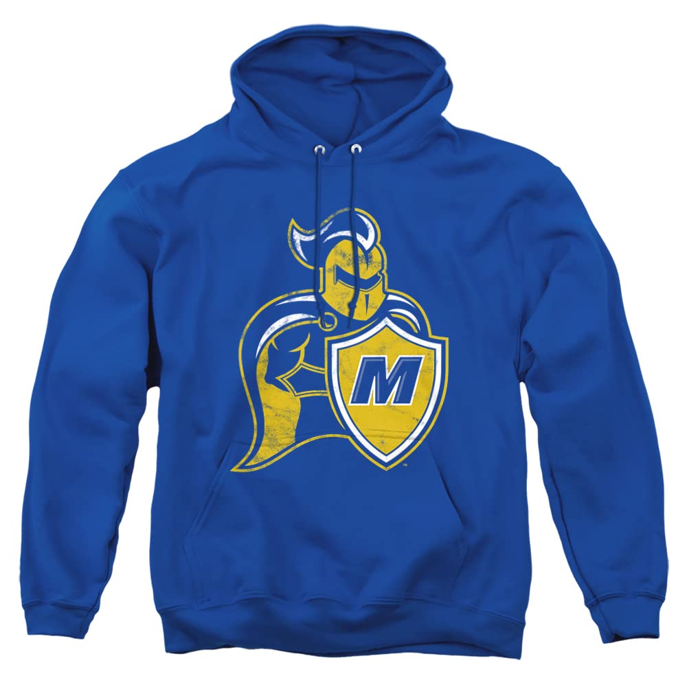 LOGOVISION Official Collegiate Distressed Primary Logo Adult Pullover Hoodie Collection — view 200